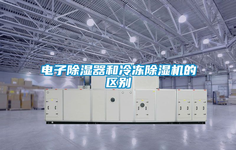 電子除濕器和冷凍除濕機(jī)的區(qū)別