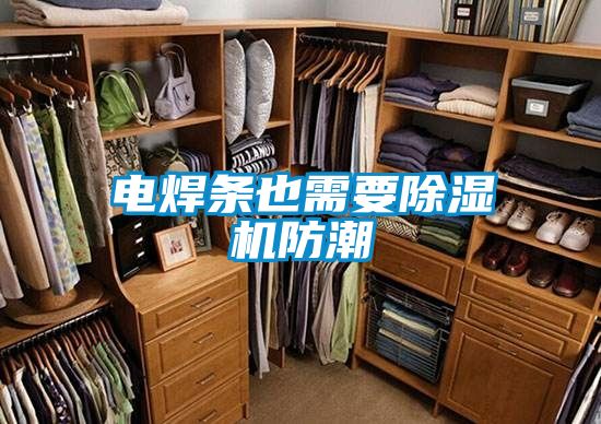 電焊條也需要除濕機(jī)防潮