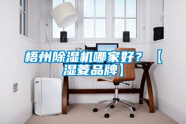 梧州除濕機哪家好？【濕菱品牌】