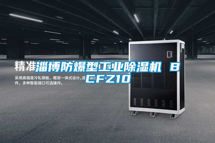 淄博防爆型工業(yè)除濕機(jī) BCFZ10