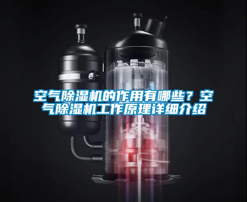 空氣除濕機(jī)的作用有哪些？空氣除濕機(jī)工作原理詳細(xì)介紹