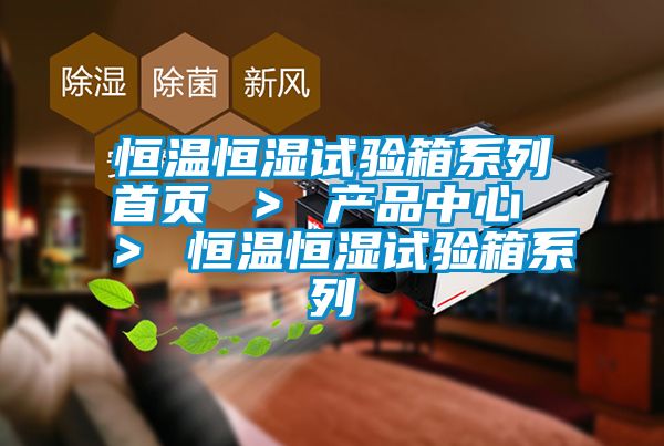 恒溫恒濕試驗箱系列首頁(yè) ＞ 產(chǎn)品中心 ＞ 恒溫恒濕試驗箱系列