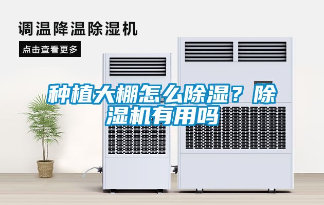 種植大棚怎么除濕？除濕機(jī)有用嗎