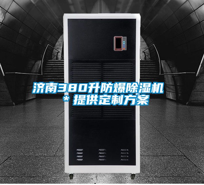 濟(jì)南380升防爆除濕機(jī) ＊提供定制方案