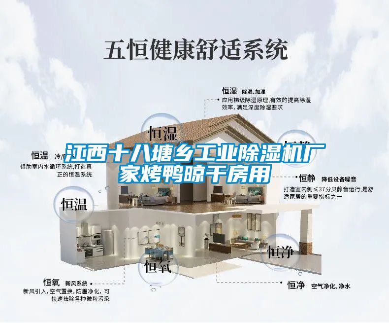 江西十八塘鄉工業(yè)除濕機廠(chǎng)家烤鴨晾干房用