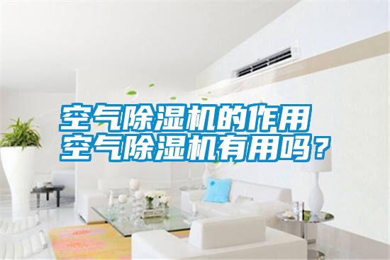 空氣除濕機的作用 空氣除濕機有用嗎？