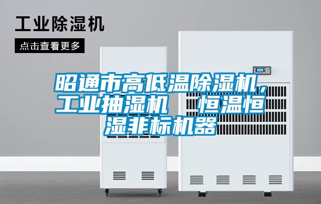 昭通市高低溫除濕機，工業(yè)抽濕機  恒溫恒濕非標機器