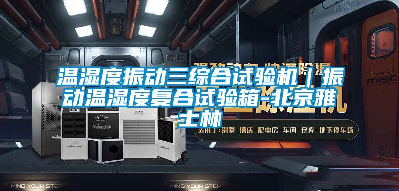 溫濕度振動(dòng)三綜合試驗機｜振動(dòng)溫濕度復合試驗箱-北京雅士林