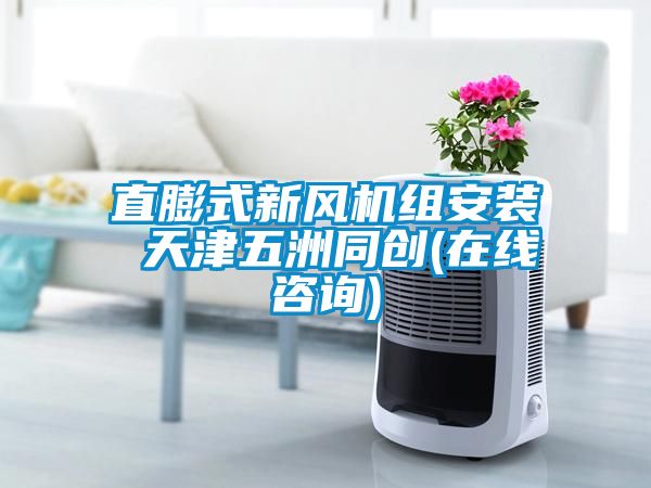 直膨式新風(fēng)機組安裝 天津五洲同創(chuàng  )(在線(xiàn)咨詢(xún))