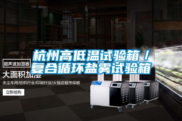 杭州高低溫試驗(yàn)箱／復(fù)合循環(huán)鹽霧試驗(yàn)箱