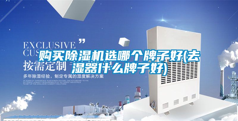 購(gòu)買除濕機(jī)選哪個(gè)牌子好(去濕器什么牌子好)