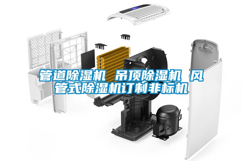 管道除濕機 吊頂除濕機 風(fēng)管式除濕機訂制非標機