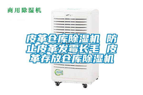 皮革倉庫除濕機 防止皮革發(fā)霉長(cháng)毛 皮革存放倉庫除濕機