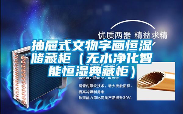 抽屜式文物字畫(huà)恒濕儲藏柜（無(wú)水凈化智能恒濕典藏柜）