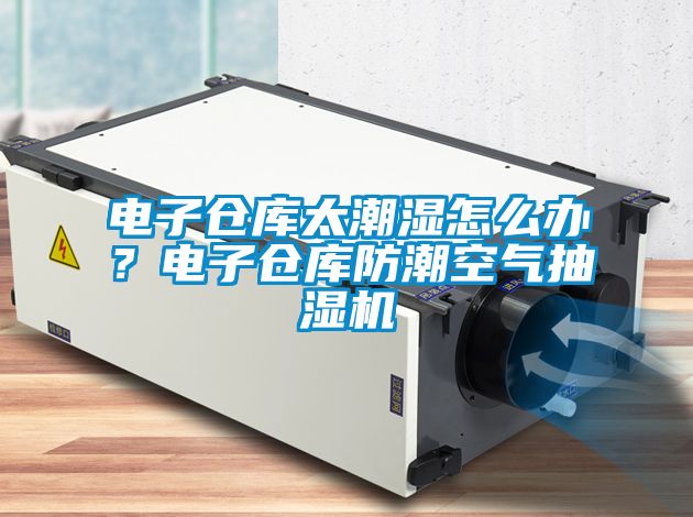 電子倉庫太潮濕怎么辦？電子倉庫防潮空氣抽濕機(jī)