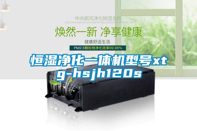 恒濕凈化一體機型號xtg-hsjh120s