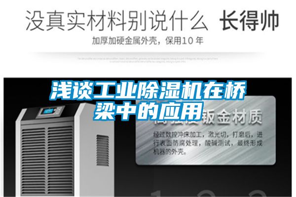 淺談工業(yè)除濕機在橋梁中的應用