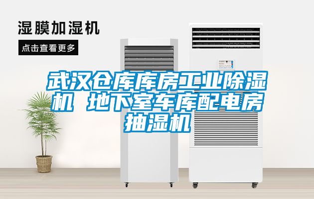 武漢倉(cāng)庫(kù)庫(kù)房工業(yè)除濕機(jī) 地下室車(chē)庫(kù)配電房抽濕機(jī)