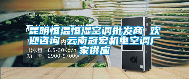 昆明恒溫恒濕空調批發(fā)商 歡迎咨詢(xún) 云南冠宏機電空調廠(chǎng)家供應