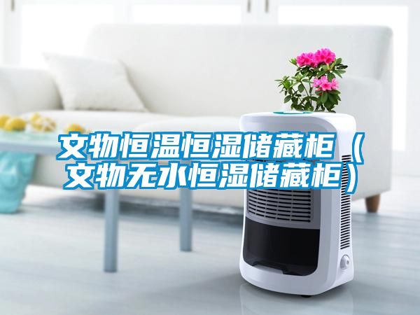 文物恒溫恒濕儲藏柜（文物無(wú)水恒濕儲藏柜）