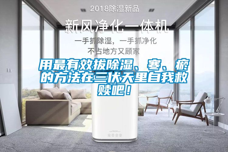 用最有效拔除濕、寒、瘀的方法在三伏天里自我救贖吧！