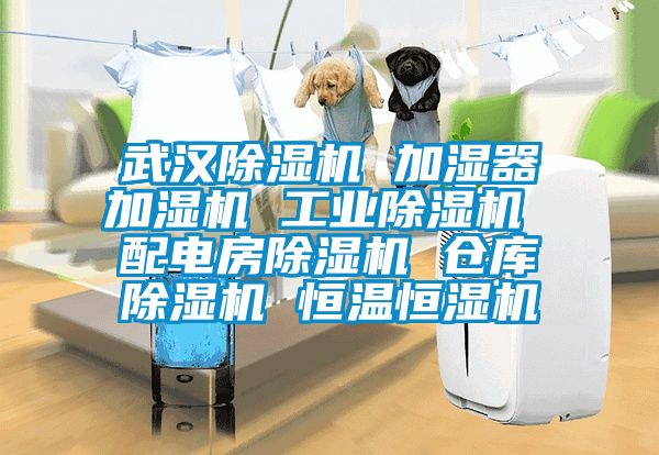 武漢除濕機 加濕器加濕機 工業(yè)除濕機 配電房除濕機 倉庫除濕機 恒溫恒濕機