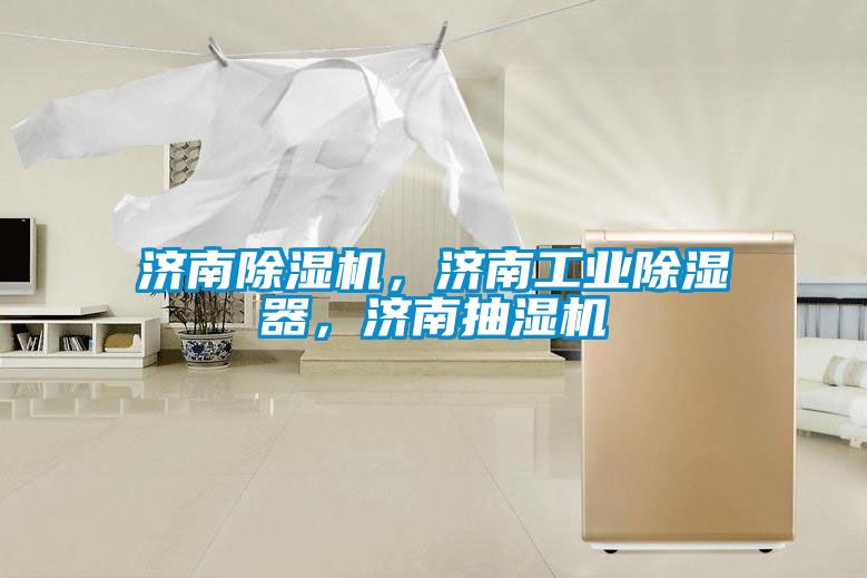 濟南除濕機，濟南工業(yè)除濕器，濟南抽濕機