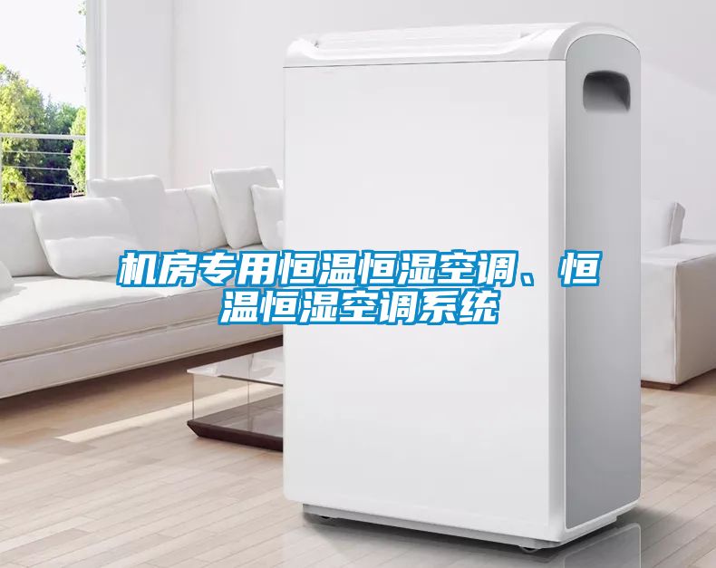 機(jī)房專用恒溫恒濕空調(diào)、恒溫恒濕空調(diào)系統(tǒng)