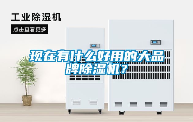 現在有什么好用的大品牌除濕機？