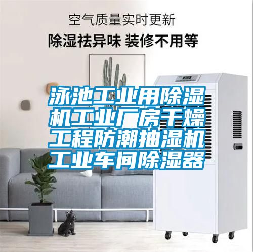 泳池工業(yè)用除濕機工業(yè)廠(chǎng)房干燥工程防潮抽濕機工業(yè)車(chē)間除濕器
