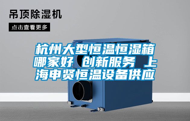 杭州大型恒溫恒濕箱哪家好 創(chuàng  )新服務(wù) 上海申賢恒溫設備供應