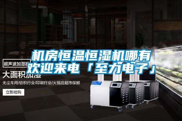 機房恒溫恒濕機哪有歡迎來(lái)電「至力電子」