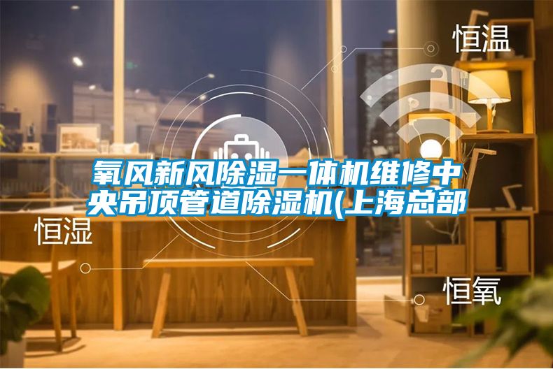 氧風(fēng)新風(fēng)除濕一體機(jī)維修中央吊頂管道除濕機(jī)(上海總部