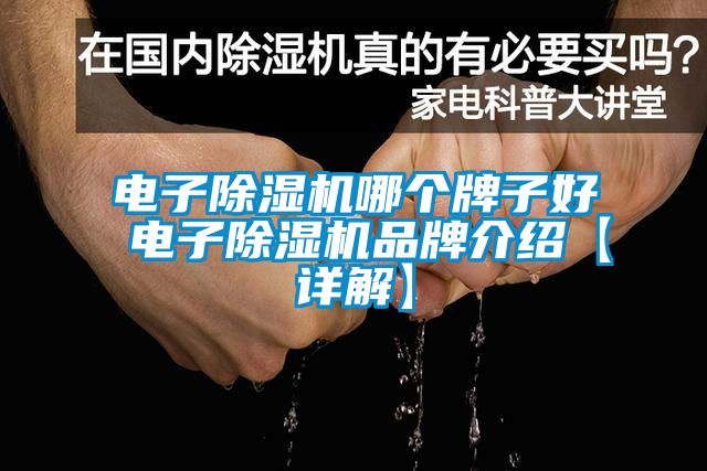 電子除濕機哪個(gè)牌子好 電子除濕機品牌介紹【詳解】