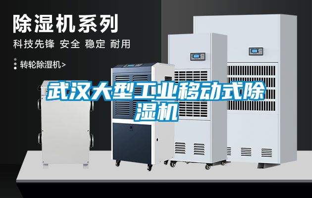 武漢大型工業(yè)移動式除濕機(jī)