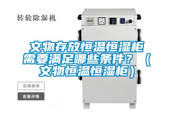 文物存放恒溫恒濕柜需要滿(mǎn)足哪些條件？（文物恒溫恒濕柜）