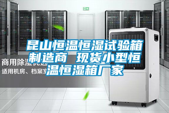 昆山恒溫恒濕試驗箱制造商 現貨小型恒溫恒濕箱廠(chǎng)家