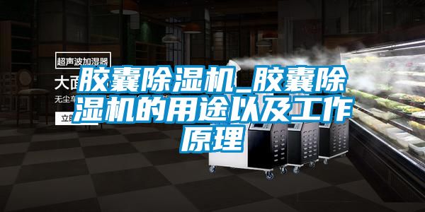 膠囊除濕機(jī)_膠囊除濕機(jī)的用途以及工作原理