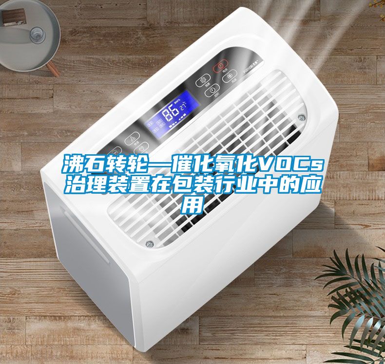 沸石轉(zhuǎn)輪—催化氧化VOCs治理裝置在包裝行業(yè)中的應用
