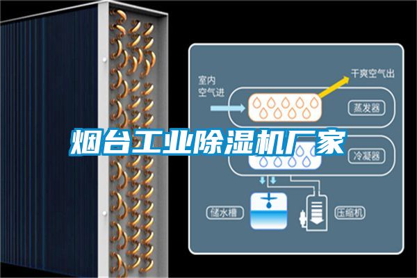 煙臺工業(yè)除濕機廠(chǎng)家