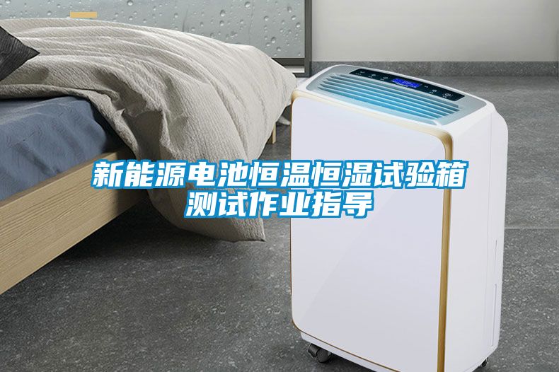 新能源電池恒溫恒濕試驗箱測試作業(yè)指導