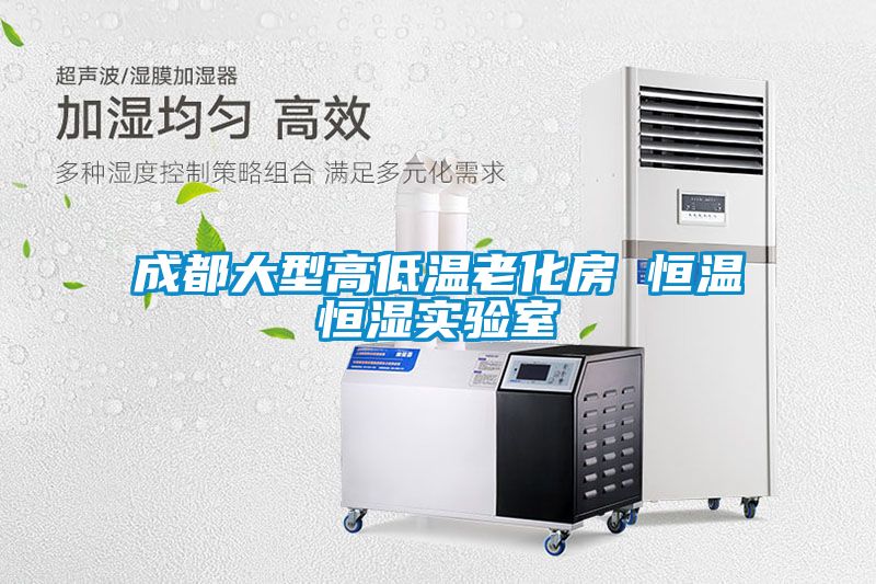 成都大型高低溫老化房 恒溫恒濕實(shí)驗室