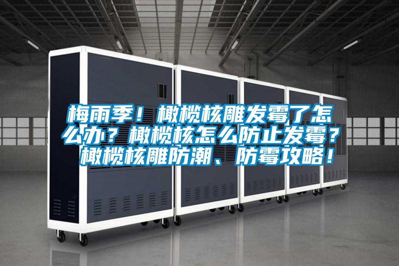 梅雨季！橄欖核雕發(fā)霉了怎么辦？橄欖核怎么防止發(fā)霉？ 橄欖核雕防潮、防霉攻略！