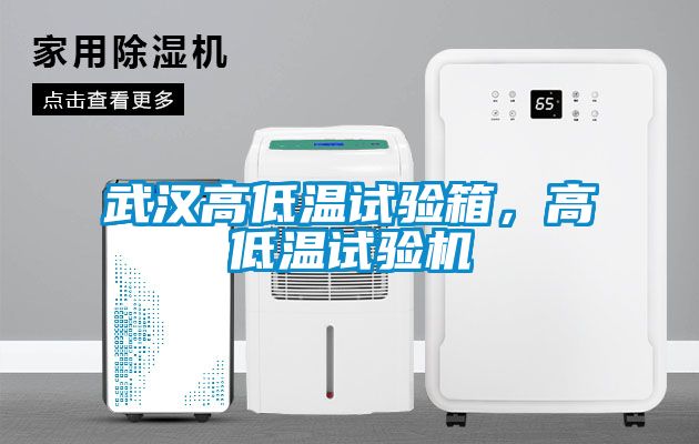 武漢高低溫試驗箱，高低溫試驗機