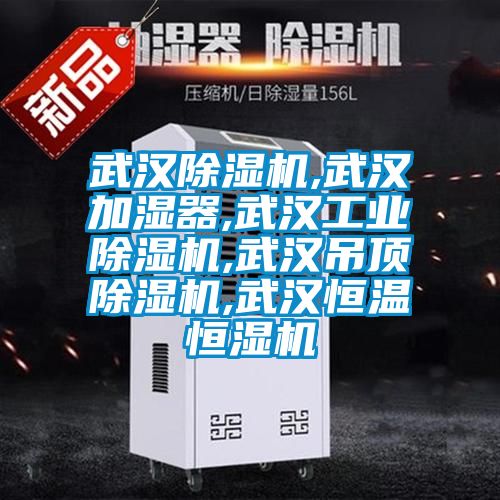 武漢除濕機,武漢加濕器,武漢工業(yè)除濕機,武漢吊頂除濕機,武漢恒溫恒濕機