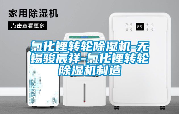 氯化鋰轉(zhuǎn)輪除濕機(jī)-無錫駿辰祥-氯化鋰轉(zhuǎn)輪除濕機(jī)制造