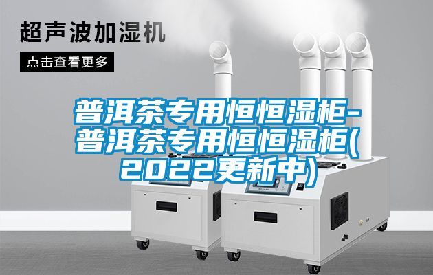 普洱茶專(zhuān)用恒恒濕柜-普洱茶專(zhuān)用恒恒濕柜(2022更新中)
