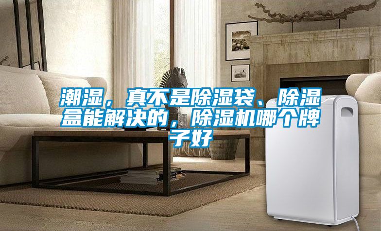 潮濕，真不是除濕袋、除濕盒能解決的，除濕機哪個(gè)牌子好