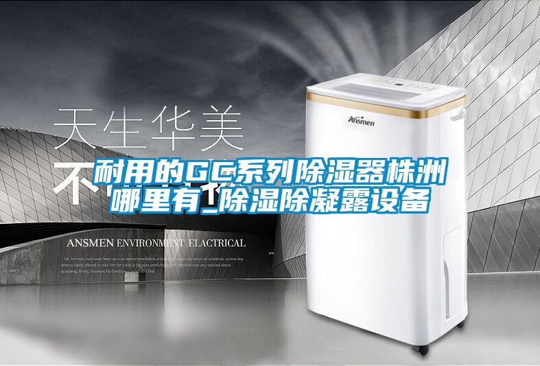 耐用的GC系列除濕器株洲哪里有_除濕除凝露設備