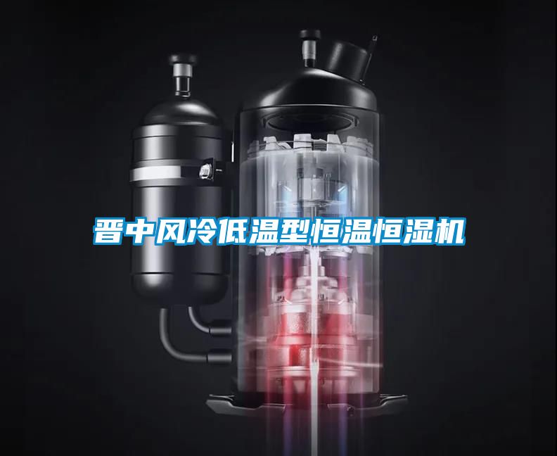 晉中風(fēng)冷低溫型恒溫恒濕機